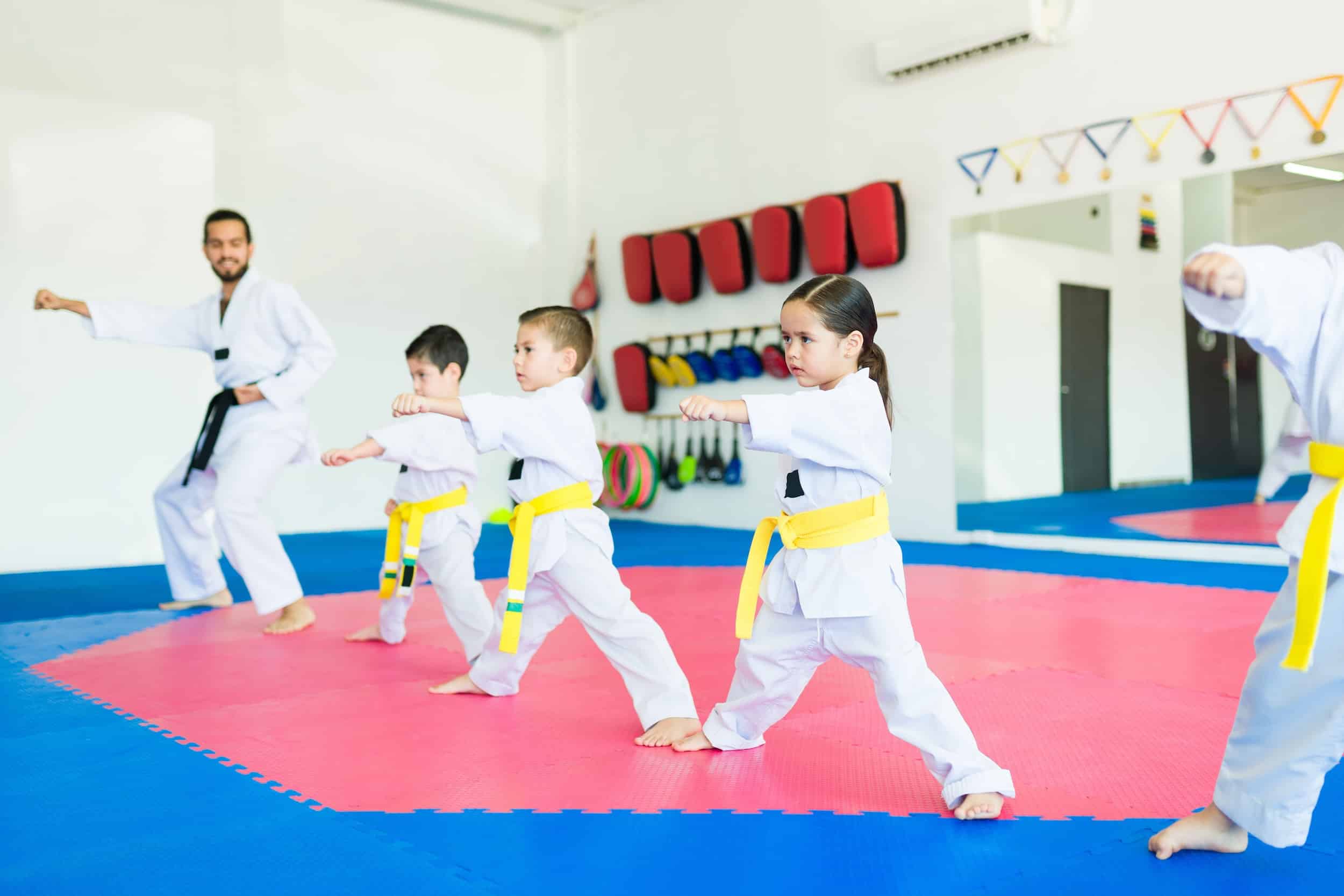 Titans Taekwondo Special Offers image